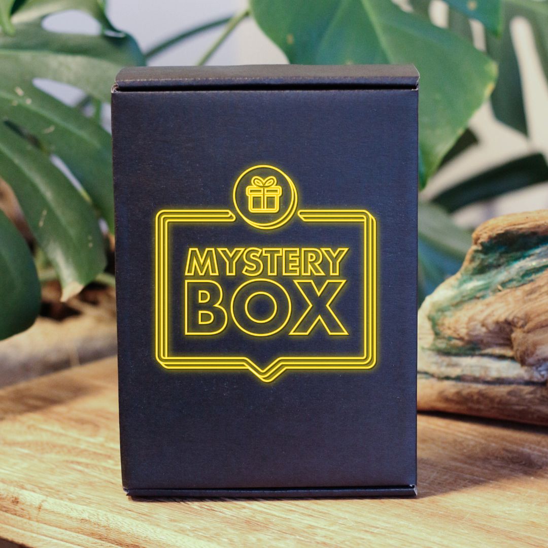 Mystery Box - RAW ROOTs - Dreadheadshop