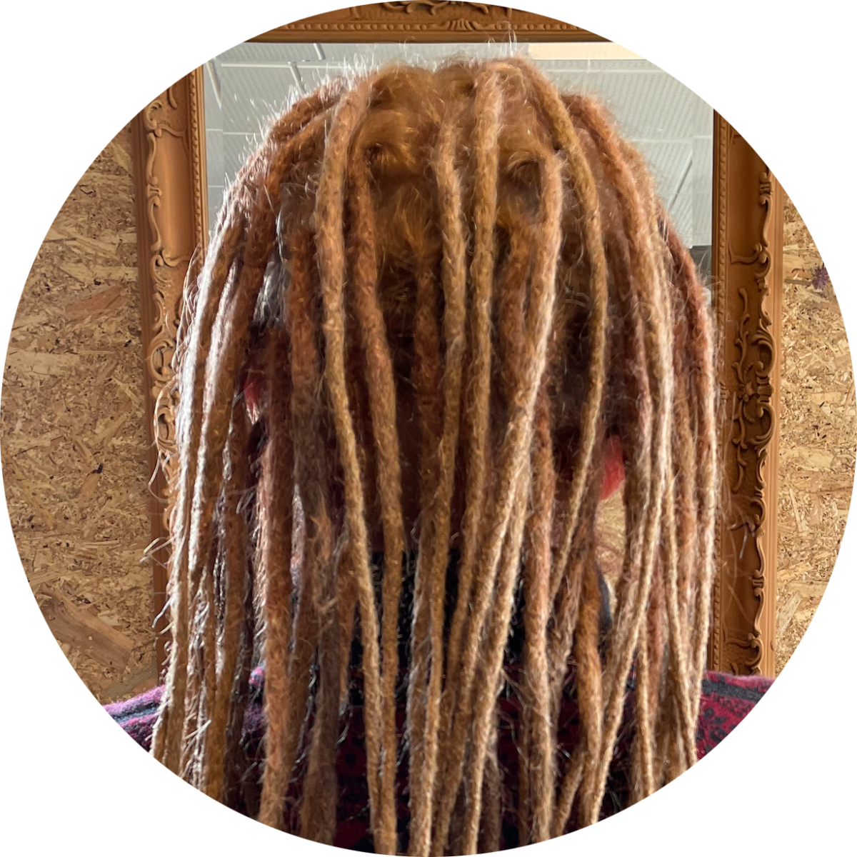 Maintaining New Dreadlocks How To Dreadheadshop